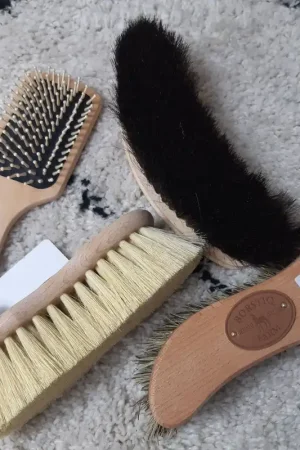 Lot de 4 brosses - BORSTIQ FARM Promotion