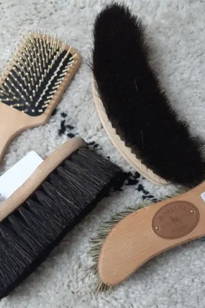 Lot de 4 brosses - BORSTIQ FARM Nouveauté