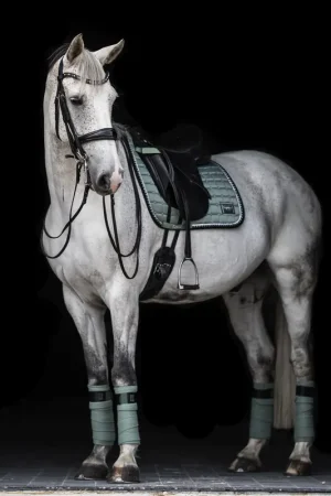 Nouvel Arrivage Tapis de selle PEPPERMINT - Equito
