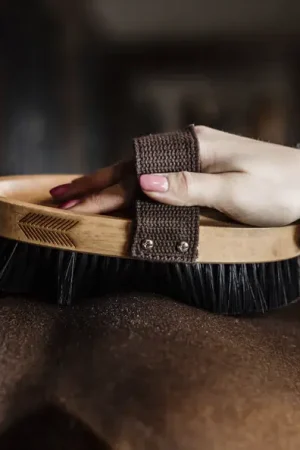 Jusqu'à Épuisement Des Stocks Brosse douce à poils durs - Kentucky