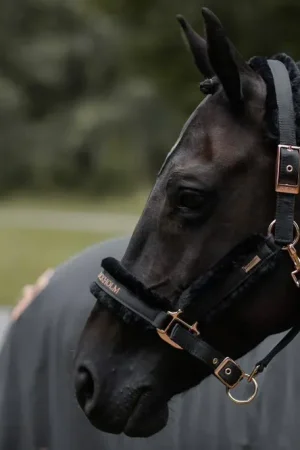 Promotion Saisonnière Licol doublé mouton et longe Equestrian Stockholm - DARK SKY