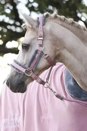 Licol doublé mouton et longe Equestrian Stockholm - Pink Expédition Rapide