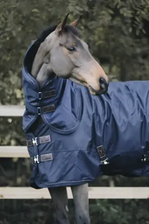 Acheter En Ligne Couverture d'extérieur All Weather imperméable pro 0g - Kentucky