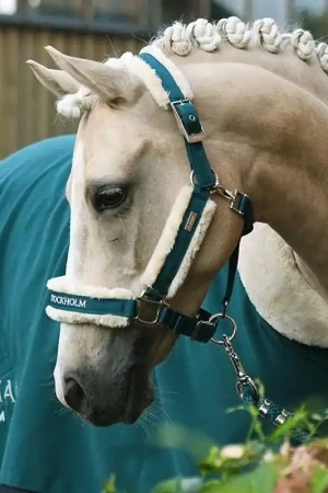 Licol doublé mouton et longe Equestrian Stockholm - Emerald Achetez Aujourd'hui