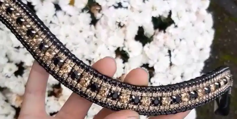 Jusqu'à Épuisement Des Stocks Frontal strass - Noir et or