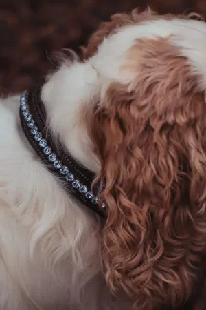 Collier pour chien Equestrian Stockholm - Parisian Blue Must-Have