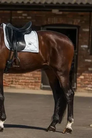 Promotion Saisonnière Tapis de selle White Perfection Silver - Equestrian Stockholm