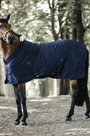 Chemise coton - Kentucky Prix Promo