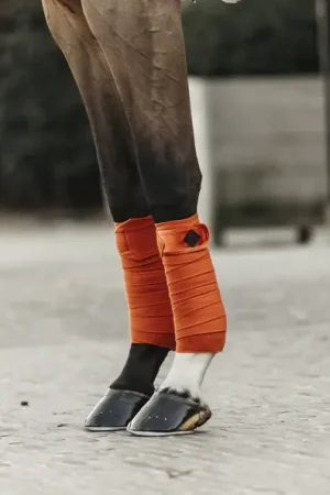 Bandes de polo Velvet - Kentucky Achat Immédiat