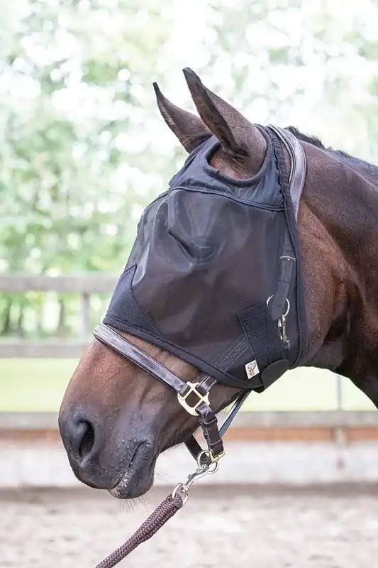 Masque anti-mouches Flyshield - Harry's Horse Commande En Gros