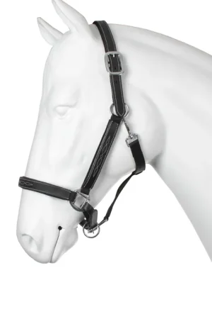 Licol cuir/nylon Lenny - Horka Authentique