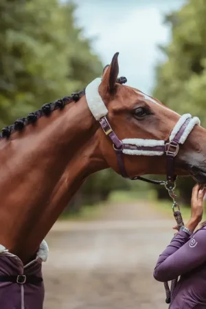 Produit De Marque Licol doublé mouton et longe Equestrian Stockholm - Orchid Bloom