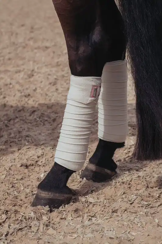 Réduction Bandes de polo Equestrian Stockholm - Desert Rose