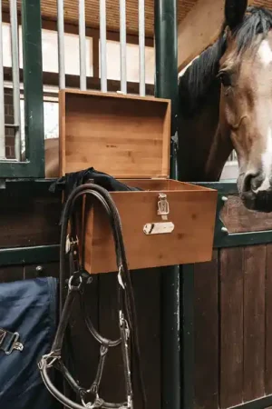 Boite de pansage d'écurie - Kentucky Satisfait Ou Remboursé