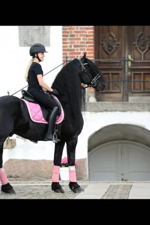 Vente Flash Bandes de polo My Passion SD Design - Divine Rose