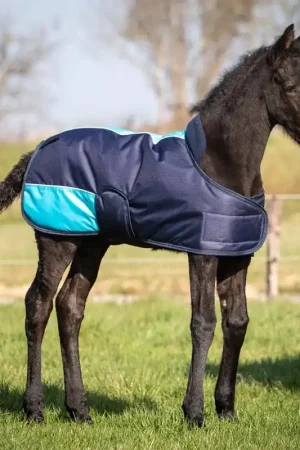 Top Vente Couverture poulain TwoTone - Harry's Horse