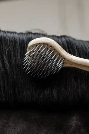 Offre Exclusive Brosse à crin - Grooming Deluxe