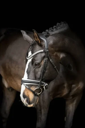 Offre Limitée Bridon Silvano Noir doublé blanc - SD Design