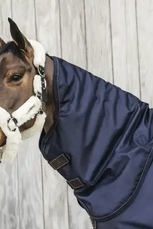 Achetez Aujourd'hui Couvre cou All Weather imperméable pro 0g - Kentucky