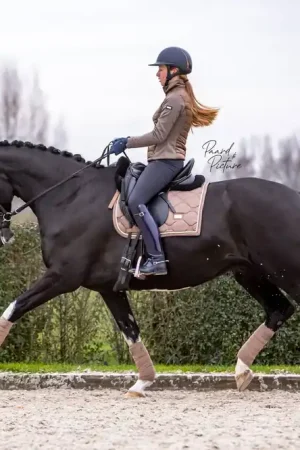 Satisfait Ou Remboursé Bandes de polo Champagne - Equestrian Stockholm