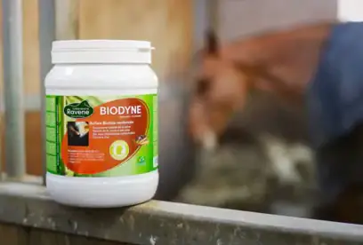 Biodyne - Ravène Dernière Chance