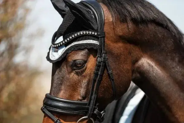 Super Prix Bonnet bleu ciel Morning Sky - Equito
