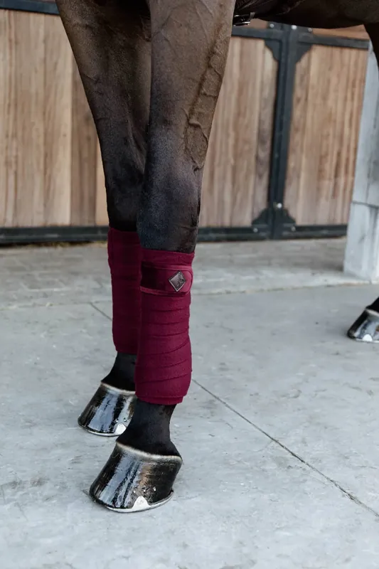 Haute Qualité Bandes de polo Velvet Bordeaux - Kentucky