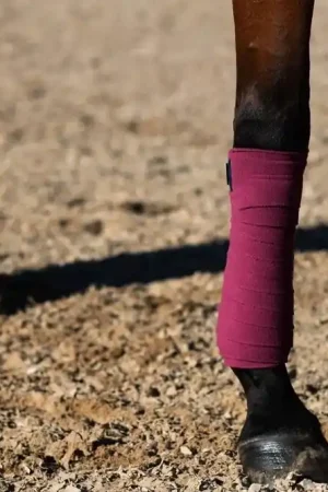 Bandes de polo Timeless Rose - Equestrian Stockholm Acheter Direct