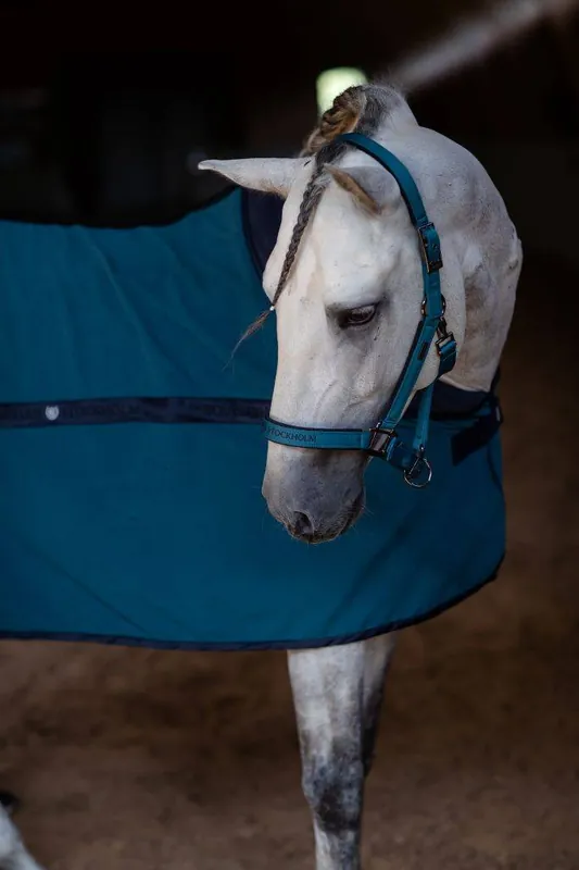Populaire Licol et longe Sportive Aurora Blues - Equestrian Stockholm