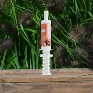 Expédié Aujourd'hui Seringue forme, vitalité, performance Natural'Top Flash - Natural'Innov