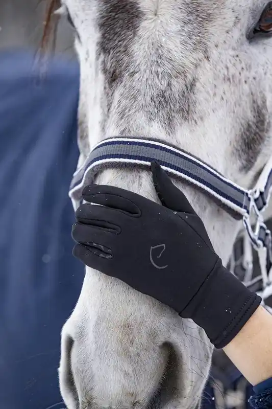Gants Hiver "Digital" - Equithème Vente Flash