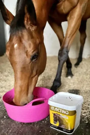 Prix Bas Complément alimentaire électrolytes Electro Salts - NAF