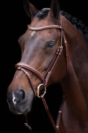 Bridon Legacy - HV Polo Prix Bas