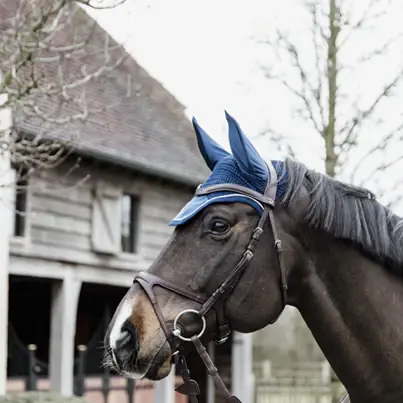 Solde Bonnet Wellington Basic Velvet Marine - Kentucky