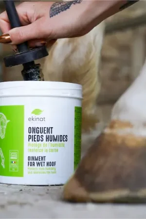 Onguent pieds humides - Ekinat Retour Gratuit