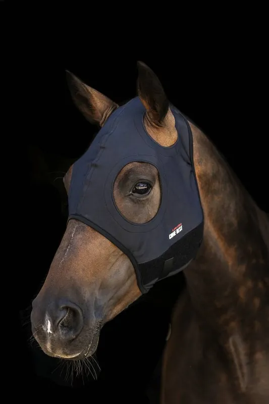Masque TITANIUM - LAMICELL Offre Spéciale