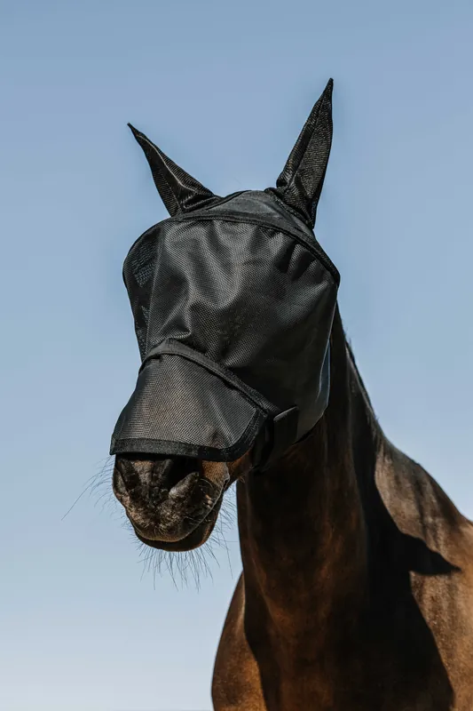 Masque anti-mouches anti-UV Protec - EQUITHÈME Dernière Chance