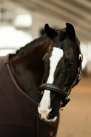 Licol Anatomique Moonless Night - Equestrian Stockholm Super Prix