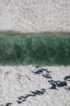 Acheter En Ligne Fourreau de muserolle Olive - Mattes
