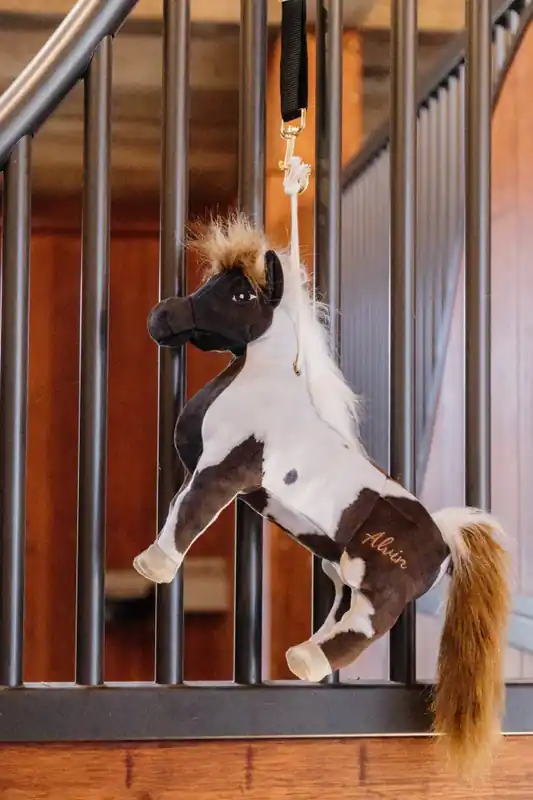 Jouet de boxe Poney Alvin - Kentucky Paiement Sécurisé