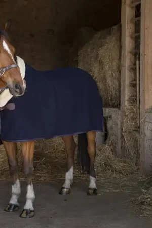 Couverture laine Teddy - Equithème Satisfait Ou Remboursé