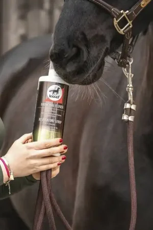 Complément alimentaire liquide sirop Elixir Bronches - LEOVET Acheter En Ligne