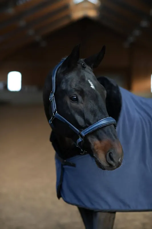 Licol en cuir Anatomique Glimmer Dark Venice - Equestrian Stockholm Prix Réduit
