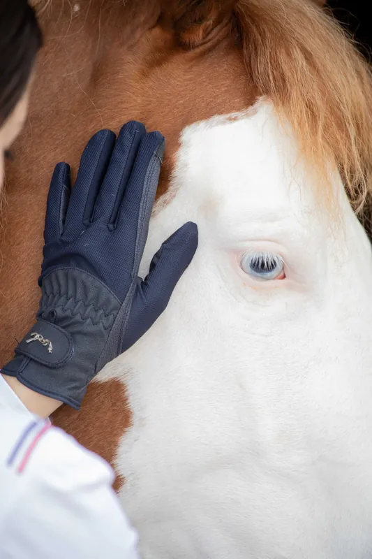 Solde Gants d'équitation Compétition - PENELOPE COLLECTION
