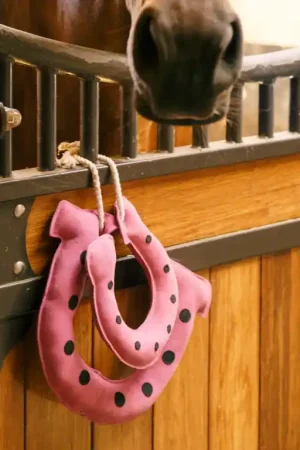 Jouet de box Fer à cheval Buddy Horseshoes - Imperial Riding Prix Réduit
