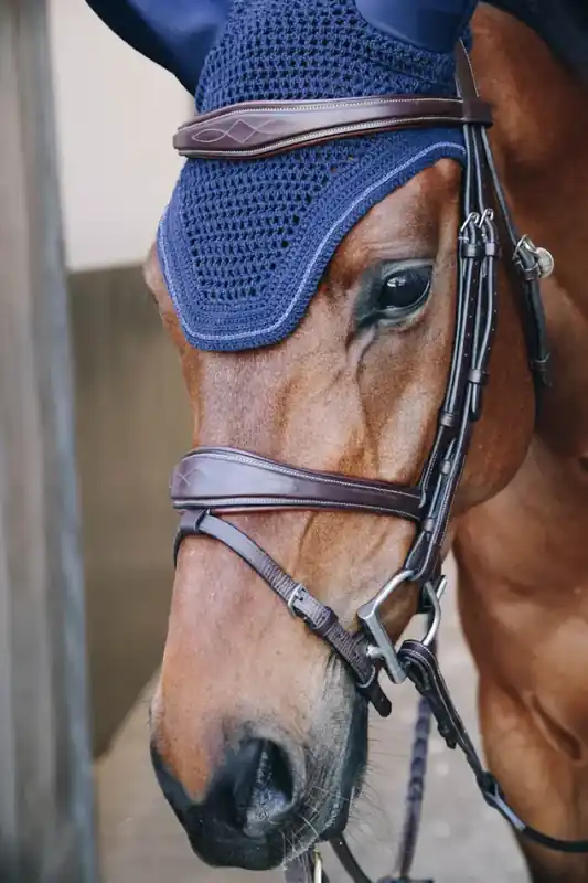 Réduction Bonnet anti-bruit Wellington Sparkling - Kentucky
