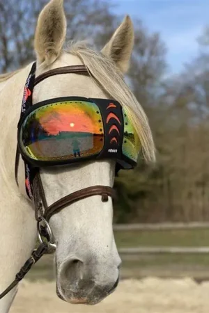 Lunettes anti-UV eVysor - EQUICK Prix Cassé