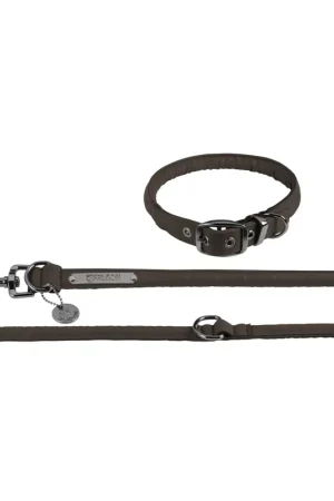 Ensemble collier + laisse chien Faux Leather PLATINUM 2024 - Eskadron Produit De Marque