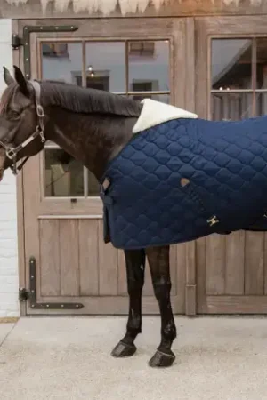 Achetez Aujourd'hui Couverture d'écurie Comfort 200g - Kentucky