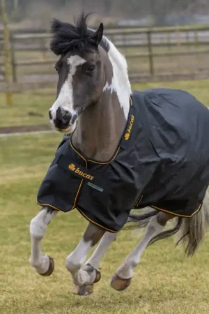 Couverture d'extérieur Irish Turnout 50g - Bucas Certifié